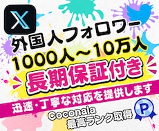 X・旧Twitterのフォロワーを増加します 品質大幅改善！！Xフォロワー1000増加！