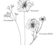 花をテーマにした繊細な絵を作ります イメージ1