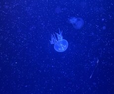 友達感覚でお聞きし( ´ ▽ ` )ます イメージ1