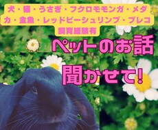 我が家のかわいいペット自慢のお話聴きます イメージ1