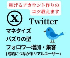 Twitterフォロワー集客・マネタイズ法教ます バズりだけでフォロワー1万人越えした♩リアルフォロワーで稼ぐ