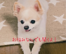 ちょっと聞いて！っ事何でも聞きます イメージ1