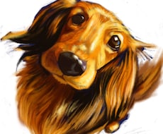 あなたのかわいいペットをイラストにします イメージ1