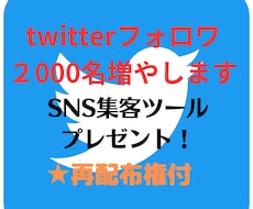 twitterフォロワ2000名増やします SNS自動集客ツールプレゼント★再配布権付き！