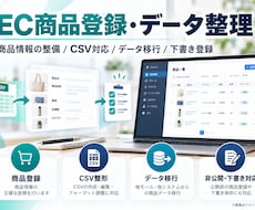 EC商品登録・データ整理を代行します イメージ1