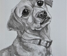 犬と猫の肖像画描きます イメージ1