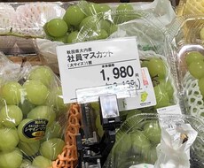 西洋占星術であなたの人生を占います 人生や適職、恋愛結婚、海外移住などさまざまなことを占います