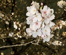 発達にお困りの保護者の方の相談にのります イメージ1