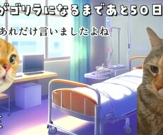 猫ミームの動画作成します イメージ1