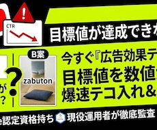 YoTubeの広告配信を代行します YouTube運用で気になることは全てお任せ