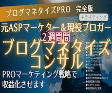 月7桁ブロガーのノウハウで既存ブログ収益化させます ２週間専属で収益化を目指す記事添削もする最強ブログコンサル