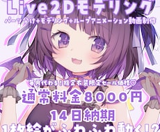 指定衣装限定お手頃価格Live2Dモデリングします 【9月は下着・パジャマ衣装限定】8000円でモデリングします