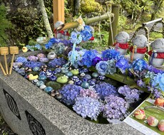 ヨガインストラクターがあなたの心も整えます イメージ1