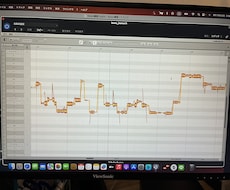 歌のピッチ、タイミング、ダイナミクスを補正します イメージ1