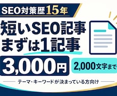 まず1記事！短いSEO記事を執筆します イメージ1