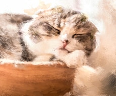 ペットの写真を元にあたたかみあるイラスト制作します イメージ1