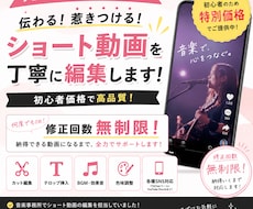 修正回数無制限で理想の動画に仕上げます イメージ1
