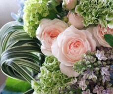 プロが植物のお悩みすぐ解決します イメージ1