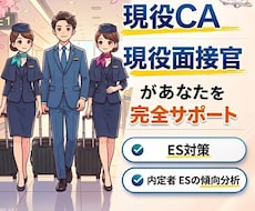 現役面接官、現役CAが丁寧にES添削します イメージ1