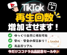 TikTokの再生回数を増加させます イメージ1
