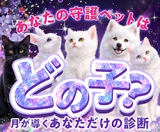 あなたを見守る守護ペットを診断します 月灯りが導くあなただけの守護ペット