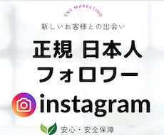 instaリアル日本人フォロワー100人増やします イメージ1