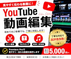 YouTube動画を見やすく丁寧に編集します イメージ1