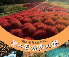 チラシやフライヤーを制作いたします イメージ1