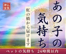 ペットの気持ちと伝えたい想いを霊視で届けます イメージ1