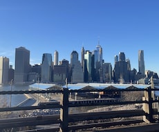 NY市内での現地市場調査ができます イメージ1