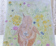 大切な貴方の家族を癒される絵にします イメージ1