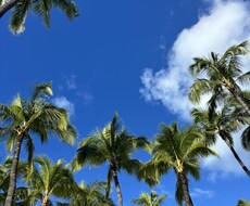 ロサンゼルスで売り場の写真など撮ります イメージ1