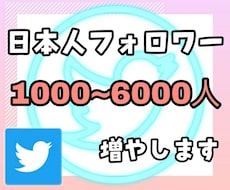 Twitterの日本人フォロワー千人以上増やします 日本人のアクティブ フォロワーを増やします。