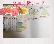 食事分析します 普段の食事にどれだけの栄養が摂れているか知りたい方へ