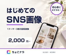 SNSで説明しやすい投稿画像を作ります イメージ1