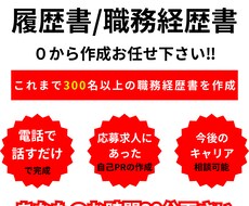 現役転職アドバイザーが履歴書・職務経歴書作成します 50分の面談で履歴書・職務経歴書を作成！選考突破率大幅UP！