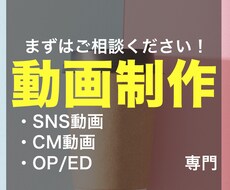 SNS広告動画、CM動画制作します イメージ1