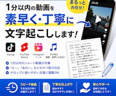 1分以内のショート動画2本を文字起こしします イメージ1