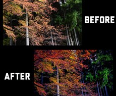 あなたの写真を加工します イメージ1