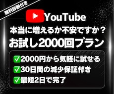 お試し|YouTube再生数2000回増加させます ✅初めての人向け✅30日保証✅シンプル仕様