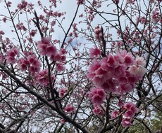 話し相手になります イメージ1