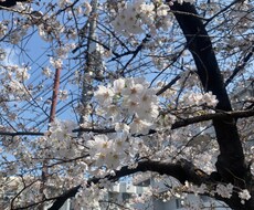 恋愛について不安や不満がある方ご相談乗ります イメージ1
