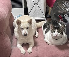 話聞きます イメージ1