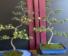 現役看護師&主婦がお話聞きます イメージ1