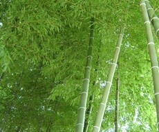 話し相手になります イメージ1