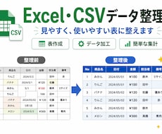 Excel・CSVデータ整理をします 実務経験をもとに丁寧に整えます