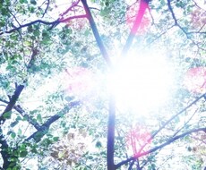 24H以内★あの人との今後スパッと霊視鑑定します 言葉の波動から愛のある鑑定いたします