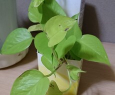 お友達探している方待ってます イメージ1
