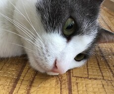 介護に関わること全て相談にのります イメージ1