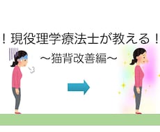 現役理学療法士が猫背の治療をお手伝いします イメージ1